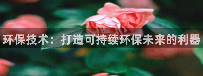彩名堂为啥不准了乱变：环保技术：打造