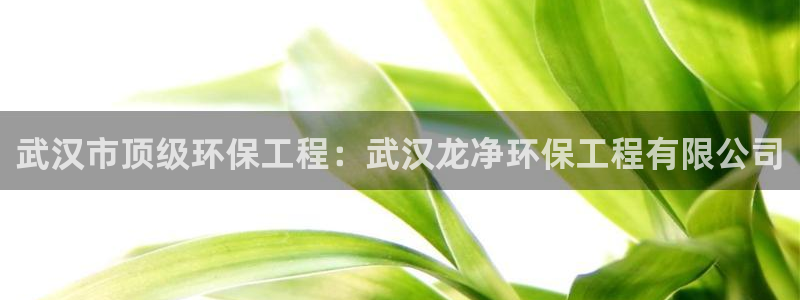 彩名堂预测免费计划app-彩名堂预测免费：武汉市顶级环保工程：武汉龙净环保工程有限公司