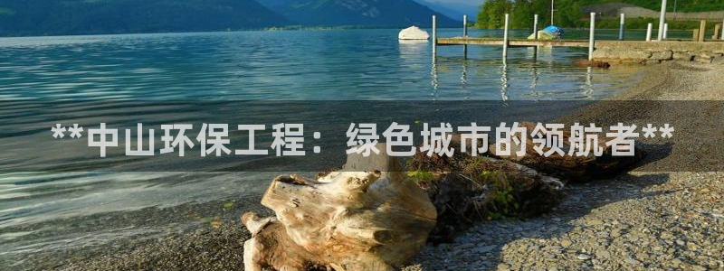 彩名堂一直不出结果怎么回事儿：**中山环保工程：绿色城市的领航者**
