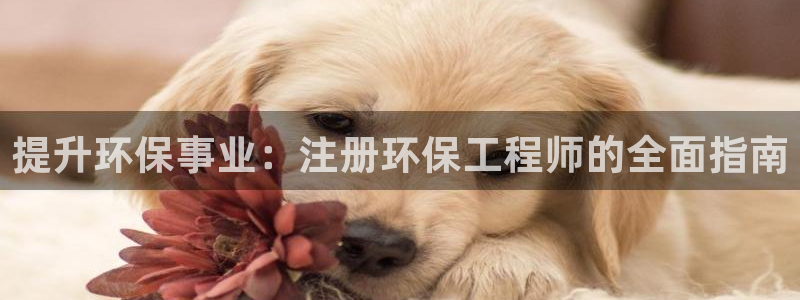 彩名堂是正规的公司吗：提升环保事业：