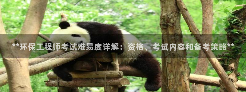 彩名堂安卓客户端官网：**环保工程师