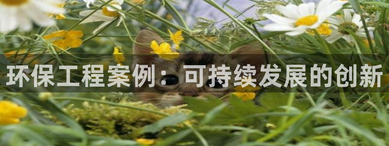 彩名堂4.3：环保工程案例：可持续发