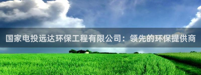 彩名堂是不是坑人的：国家电投远达环保