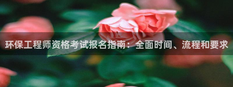 彩名堂计划技巧：环保工程师资格考试报名指南：全面时间、流程和要求