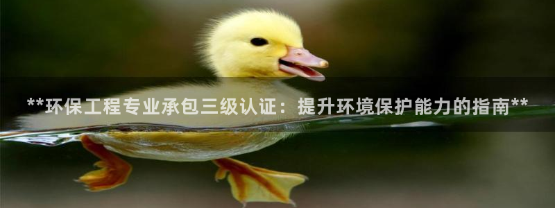彩名堂改名稻草人了吗是真的吗：**环