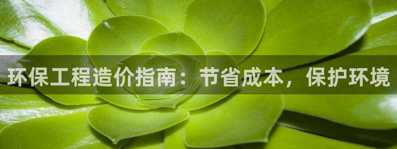 彩名堂官网计划：环保工程造价指南：节