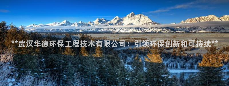 彩名堂是什么：**武汉华德环保工程技