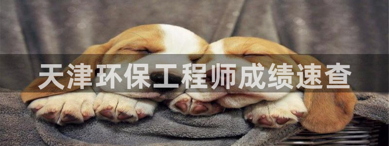 彩名堂图片：天津环保工程师成绩速查