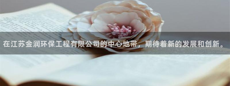 彩名堂计划怎么打不开了：在江苏金润环
