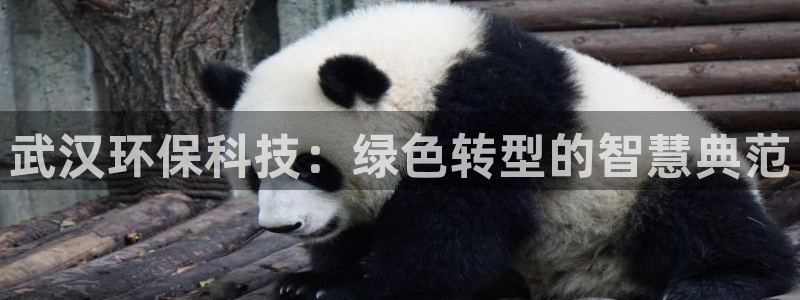 彩名堂计划技巧有哪些：武汉环保科技：
