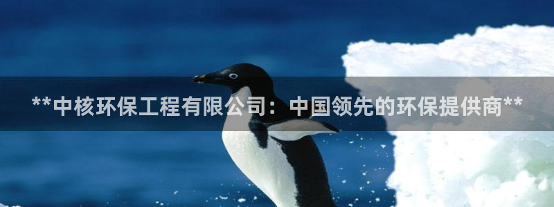 彩名堂计划app新版：**中核环保工程有限公司：中国领先的环保提供商**