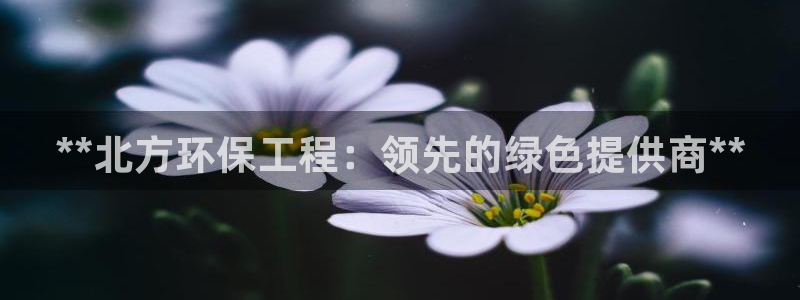 彩名堂为啥又不能用了：**北方环保工