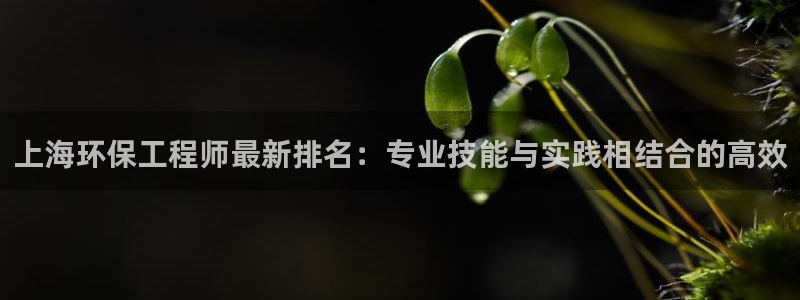 彩名堂计划官网客户端：上海环保工程师最新排名：专业技能与实践