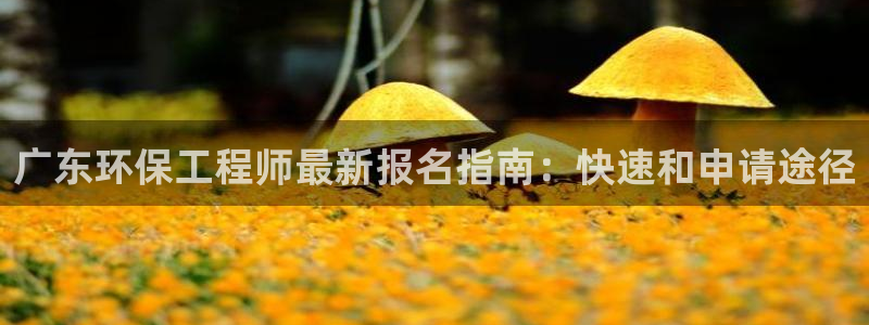 彩名堂改名稻草人了吗是真的吗：广东环保工程师最新报名指南：快