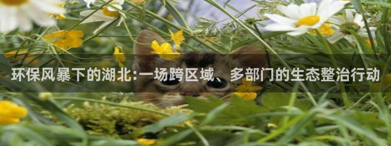 彩名堂苹果版怎么不能用了：环保风暴下的湖北:一场跨区域、多部