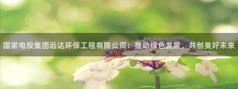 彩名堂和01计划哪个好：国家电投集团远达环保工程有限公司：推