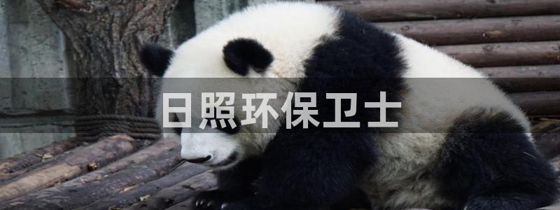 彩名堂拼音怎么拼：日照环保卫士