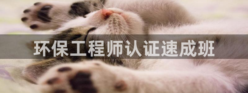 彩名堂app官方下载：环保工程师认证速成班