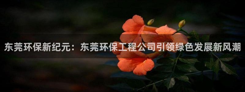 彩名堂网页：东莞环保新纪元：东莞环保