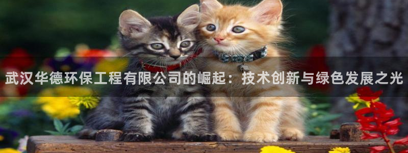 彩名堂官方软件下载：武汉华德环保工程