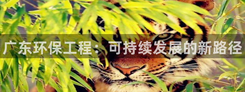 彩名堂01计划：广东环保工程：可持续