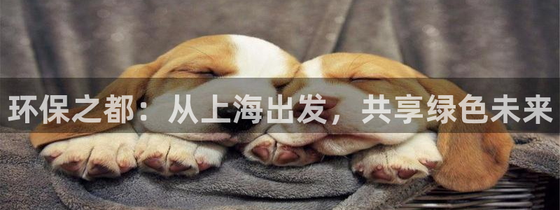 彩名堂为啥不准了乱变：环保之都：从上海出发，共享绿色未来