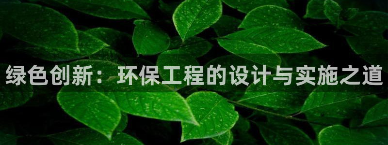 彩名堂双彩网：绿色创新：环保工程的设计与实施之道