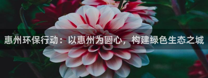 彩名堂客服：惠州环保行动：以惠州为圆心，构建绿色生态之城
