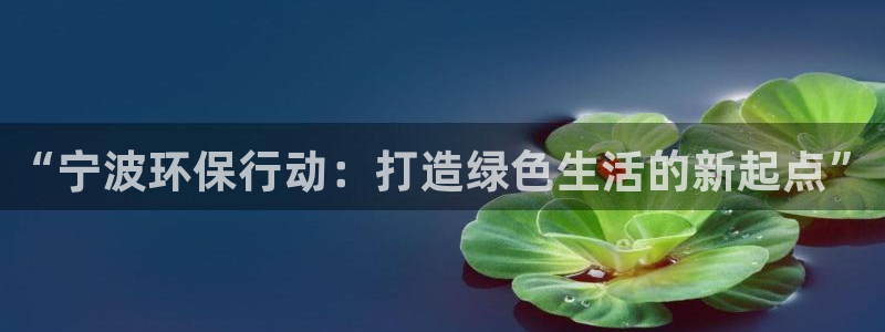 彩名堂计划官网客户端：“宁波环保行动：打造绿色生活的新起点”