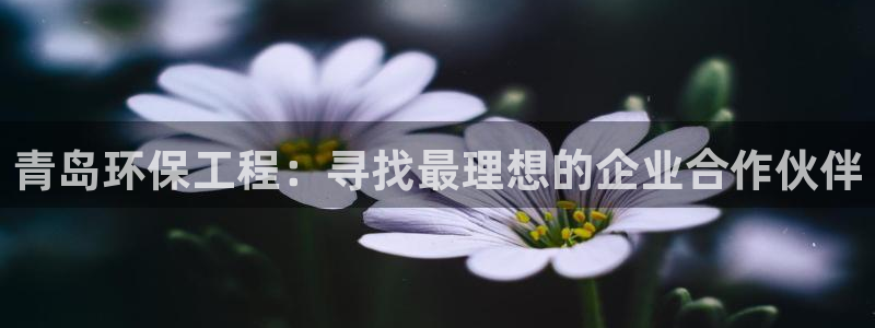 彩名堂怎么打不开了：青岛环保工程：寻找最理想的企业合作伙伴