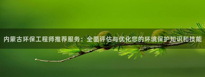 彩名堂免费计划官网怎么进不去了呢：内蒙古环保工程师推荐服务：