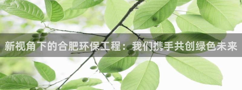 彩名堂是不是不能用了吗：新视角下的合肥环保工程：我们携手共创